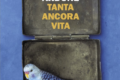 12 Novembre: Tanta ancora vita